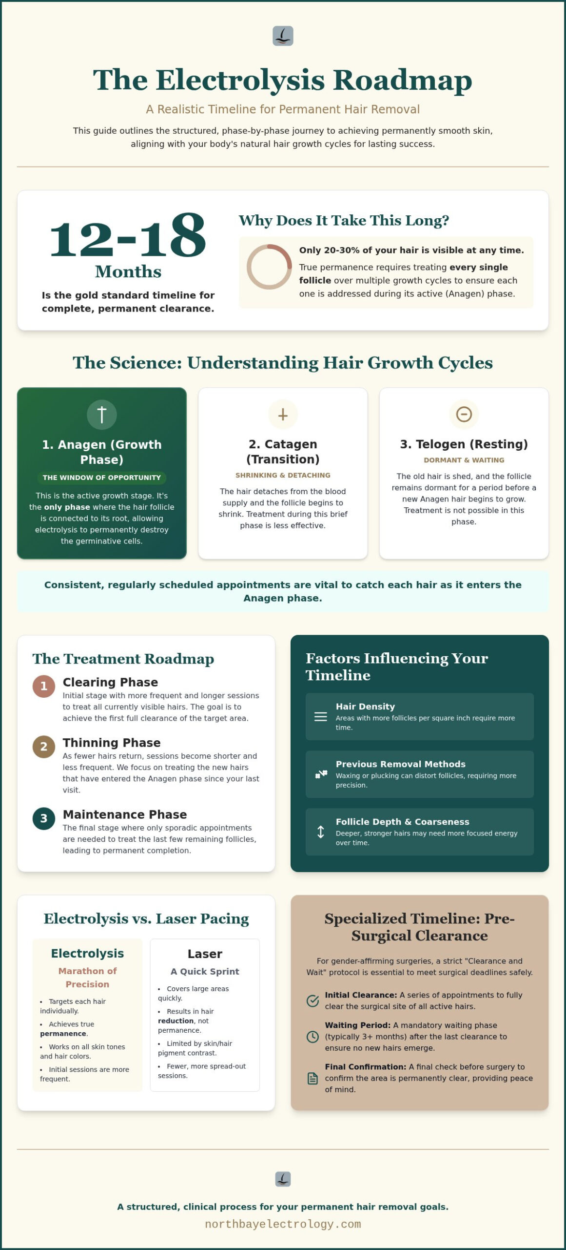 2026 Electrolysis Timeline: Month-by-Month Guide