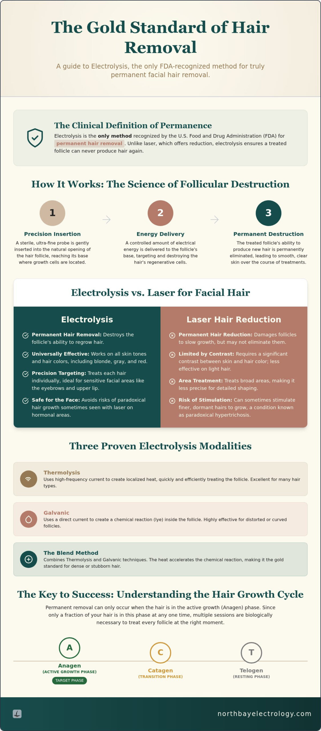 Electrolysis for Women’s Facial Hair: Permanent Results
